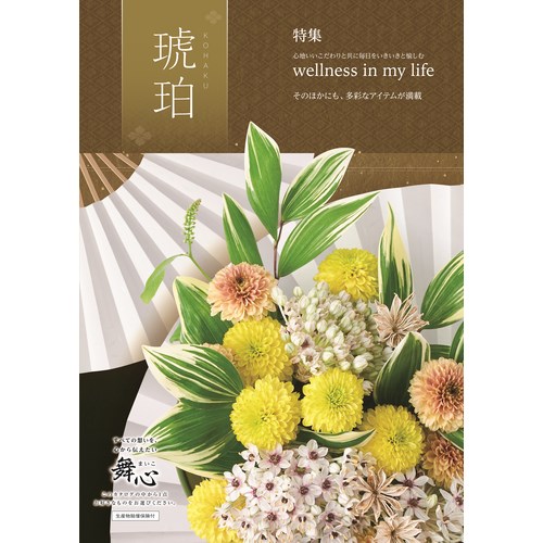 舞心全13コース